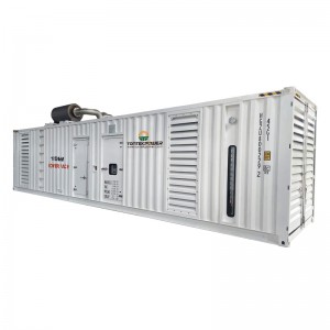 Container Type Diesel Generator
